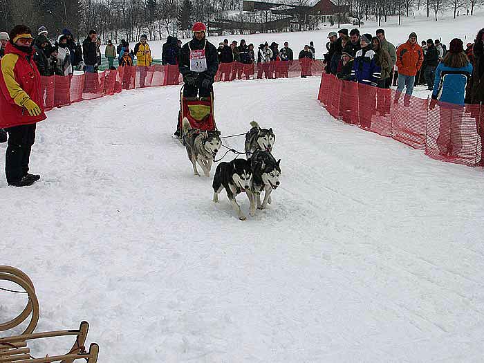 2003 schlittenhunde008.jpg